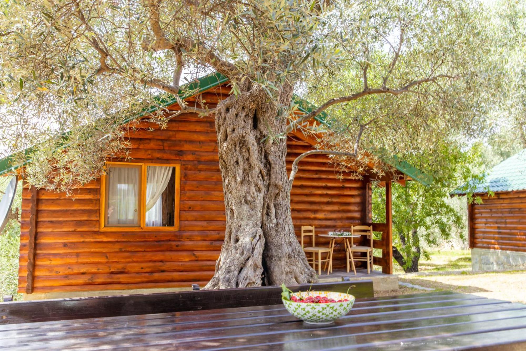 Katana Village Apartment Ulcinj Eksteriør billede